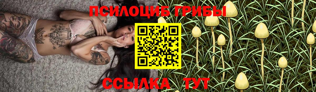 Галлюциногенные грибы MAGIC MUSHROOMS  Вход с VPN  Кудымкар 